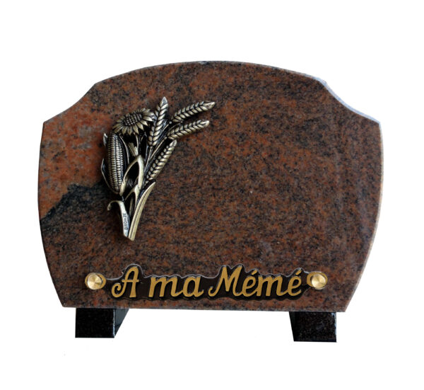plaque guide