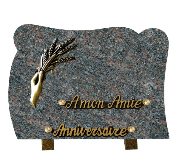 plaque mystere