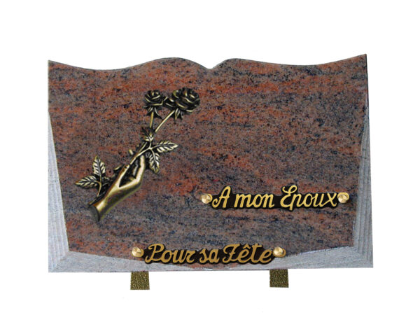 plaque abîme