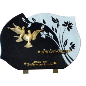 plaque plénitude