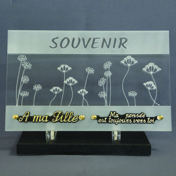 Plaque Solitude